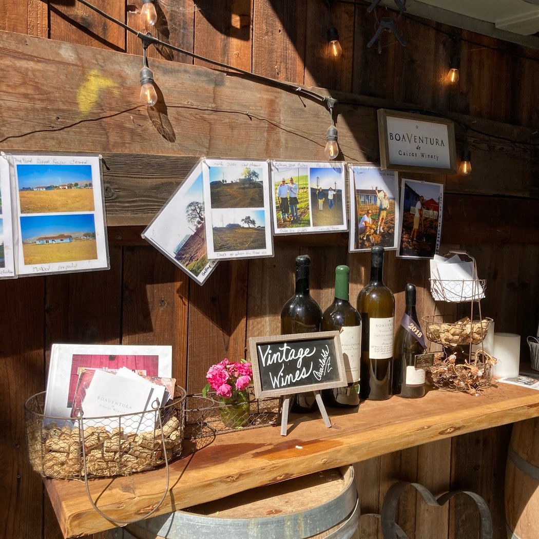 Wine Tasting 5